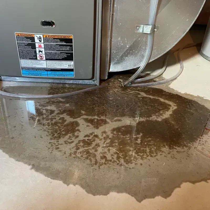 Appliance Leak Cleanup in Carlisle, PA